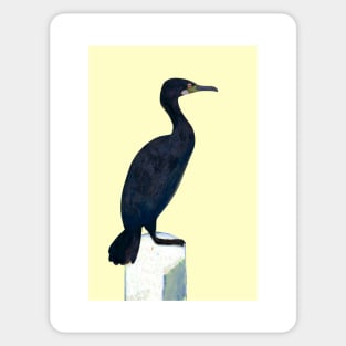 Sitting cormorant Sticker